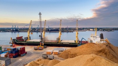 Spór o ukraińskie zboże. Rosja chce zmienić reguły gry?