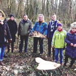 Spór o wycinkę w parku Grabiszyńskim we Wrocławiu. Zniknąć ma kilkaset drzew
