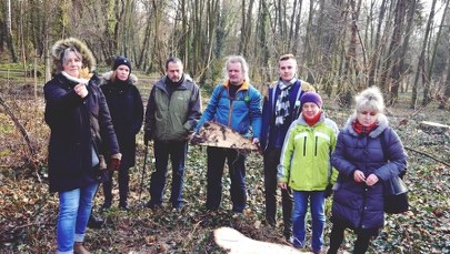 Spór o wycinkę w parku Grabiszyńskim we Wrocławiu. Zniknąć ma kilkaset drzew