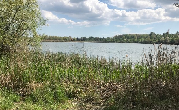 ​Spór o Żabie Doły. Mieszkańcy nie zgadzają się na degradację terenu