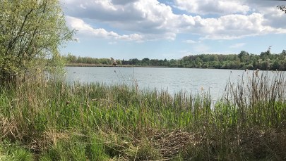 ​Spór o Żabie Doły. Mieszkańcy nie zgadzają się na degradację terenu