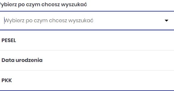 Sposób na sprawdzenie, czy nasze prawo jazdy jest już gotowe. /Info-Car