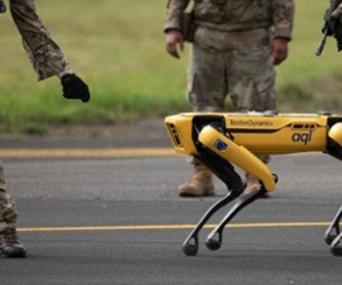 Spot, czworonożny robot Boston Dynamics, dostanie... nos