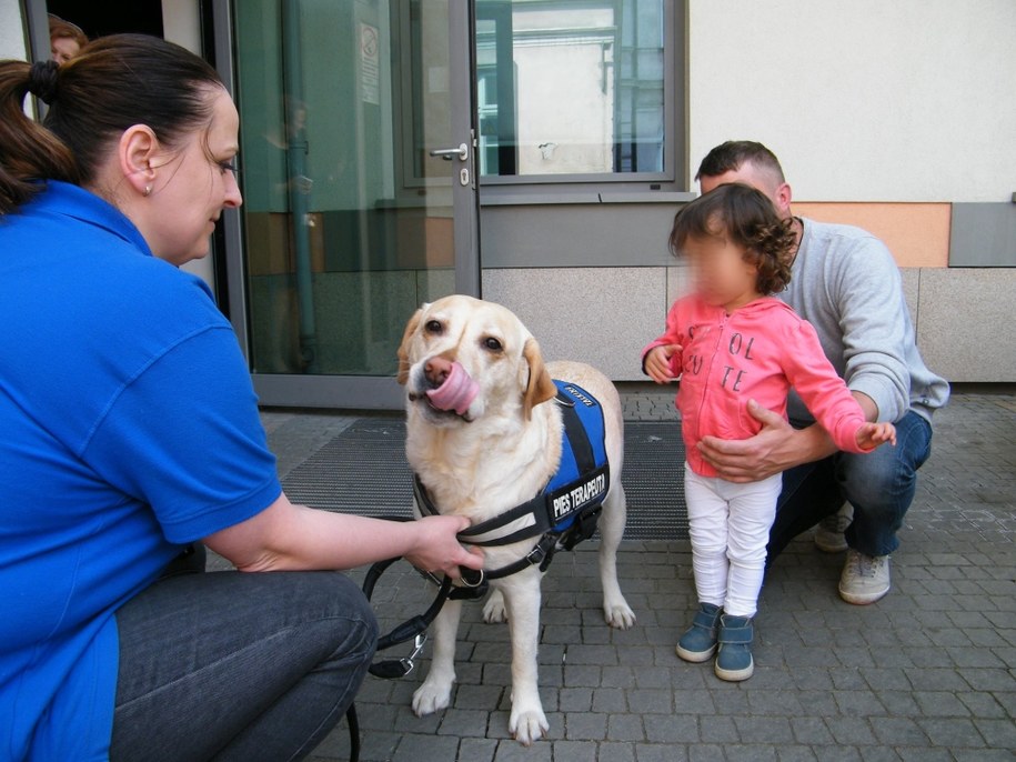 Spotkanie z psim dogoterapeutą /Szpital Dziecięcy św. Ludwika w Krakowie