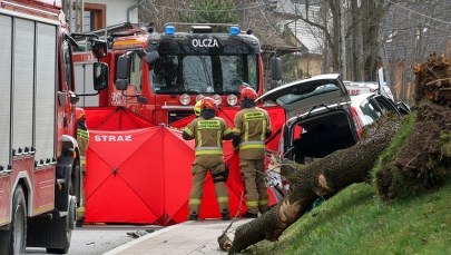 Spóźniona reakcja RCB dot. wichury na Podhalu. Zawiodły procedury