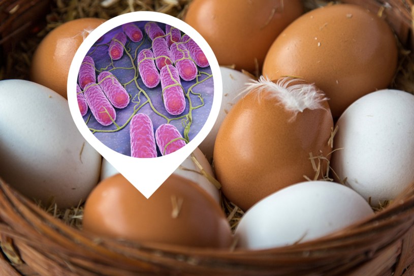 Spożycie jaj z salmonellą grozi zatruciem pokarmowym /123RF/PICSEL