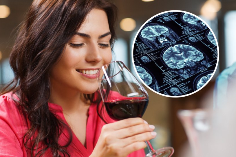 Spożywanie nawet niewielkiej dawki alkoholu niekorzystnie wpływa na funkcjonowanie układu nerwowego /123RF/PICSEL