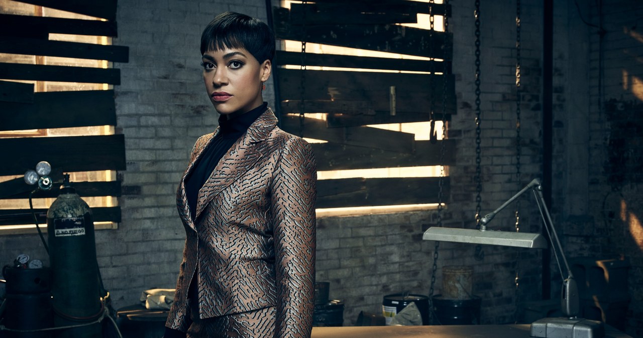 "Sprawa idealna": Cush Jumbo /HBO