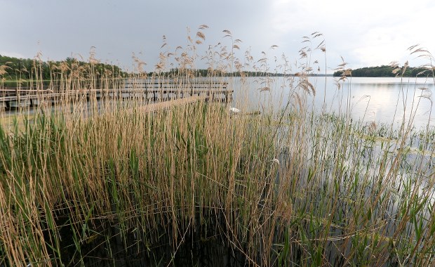 Sprawa kanibali znad jeziora Osiek. SN oddalił kasacje