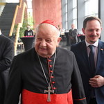 Sprawa kardynała Dziwisza. Polscy duchowni przesłuchani przez watykańską komisję