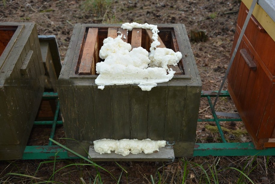 Sprawcy zniszczyli 4 ule /Policja