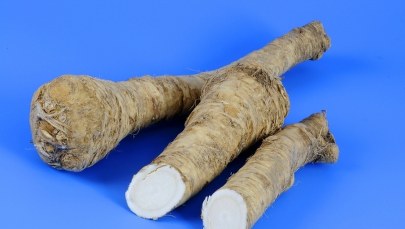 Sprawdź, dlaczego jedzenie chrzanu wyjdzie Ci na zdrowie