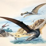 Sprawdzili, co jadł pterozaur z epoki kredy. I zaskoczenie - to nie ryby