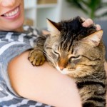 Sprawdzili, czy koty lubią się przytulać do człowieka. Wyniki zaskakują