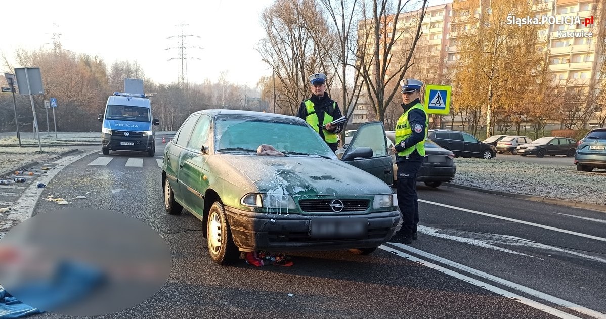 Sprawę śmiertelnego potrącenia w Katowicach bada policja /Policja