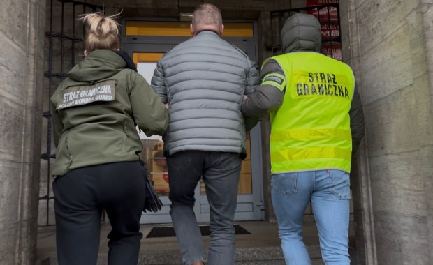 Sprowadzali rosyjskie i białoruskie drewno mimo sankcji. Wśród zatrzymanych Polacy