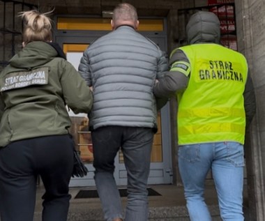 Sprowadzali rosyjskie i białoruskie drewno mimo sankcji. Wśród zatrzymanych Polacy