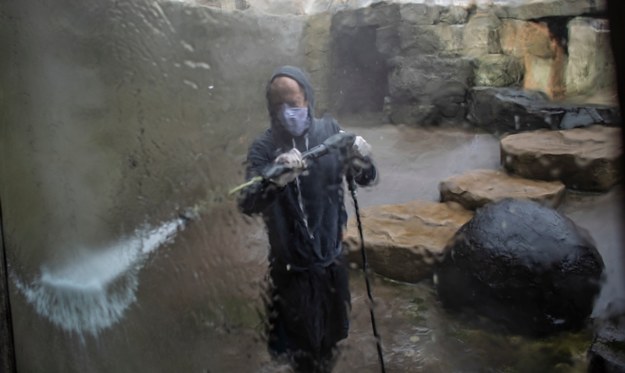 Sprzątacz w praskim zoo /Martin Divisek /PAP/EPA