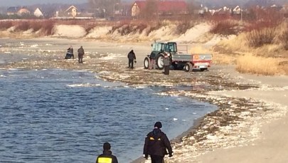Sprzątają styropian z plaży. "Ciężka sprawa"