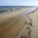 śmieci Sprzątał plażę, znalazł bursztyn. Skarb Bałtyku może być wart fortunę