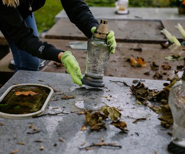 Sprzątanie grobów droższe niż przed rokiem. Takich cen jeszcze nie było