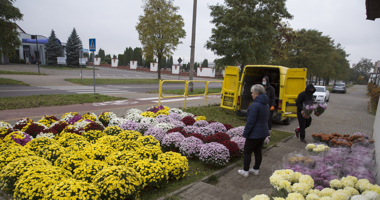 Sprzedawcy zniczy i kwiatów otrzymają 180 mln zł pomocy /Marek Maliszewski  /Reporter