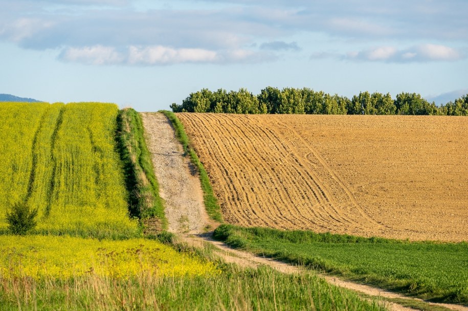 Państwowa ziemia zablokowana na 10 lat. Nowy projekt ustawy już gotowy
