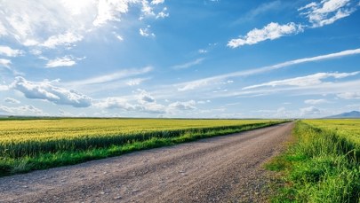Sprzedaż działki pod CPK biznesmenowi. Prokuratura ogłasza