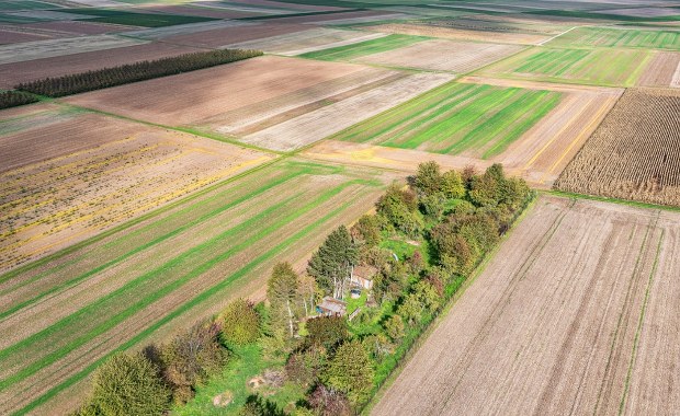 Sprzedaż działki pod CPK. Oświadczenie KOWR