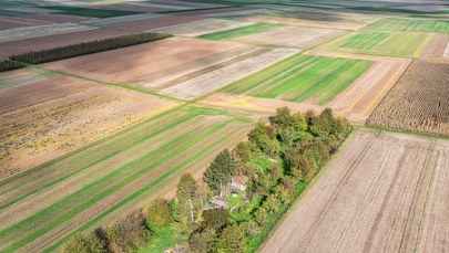 Sprzedaż działki pod CPK. Oświadczenie KOWR