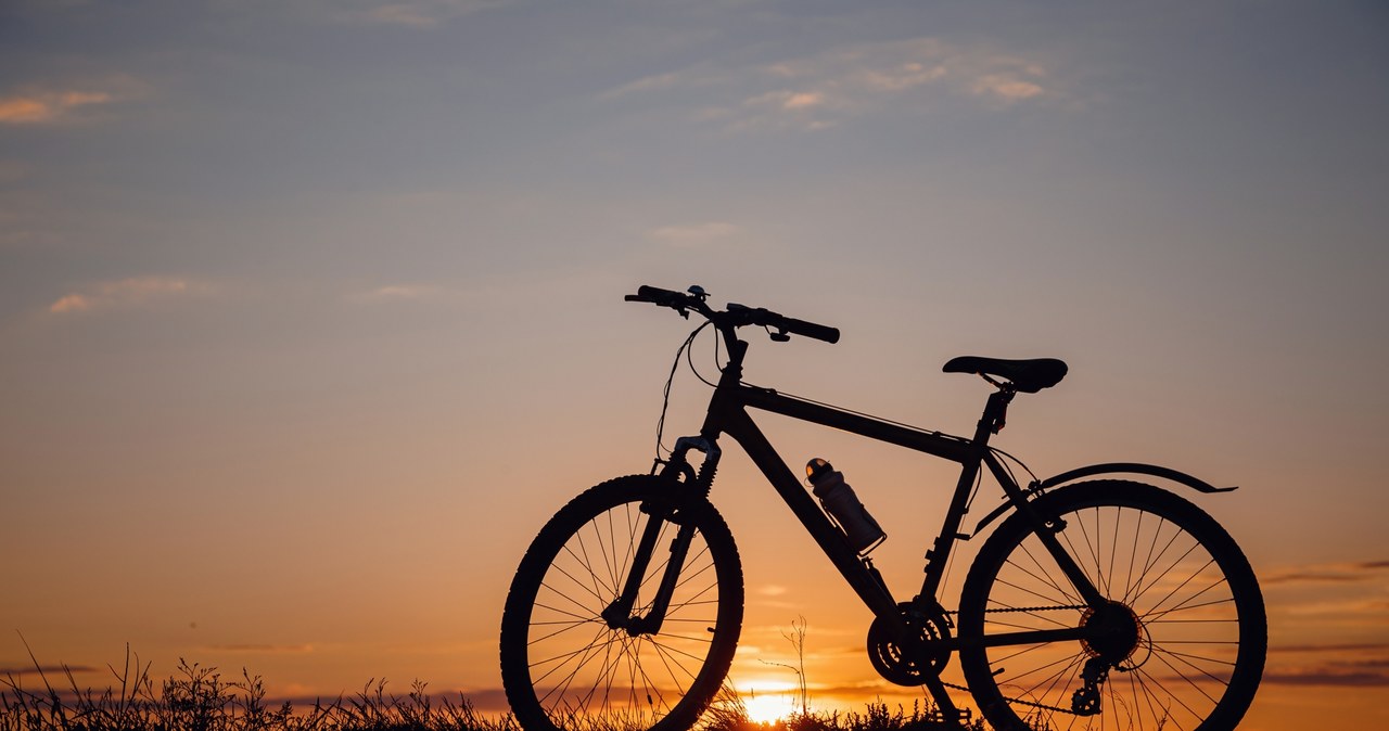 Sprzedaż rowerów w 2020 r. wzrosła w UE o 11 proc. /123RF/PICSEL