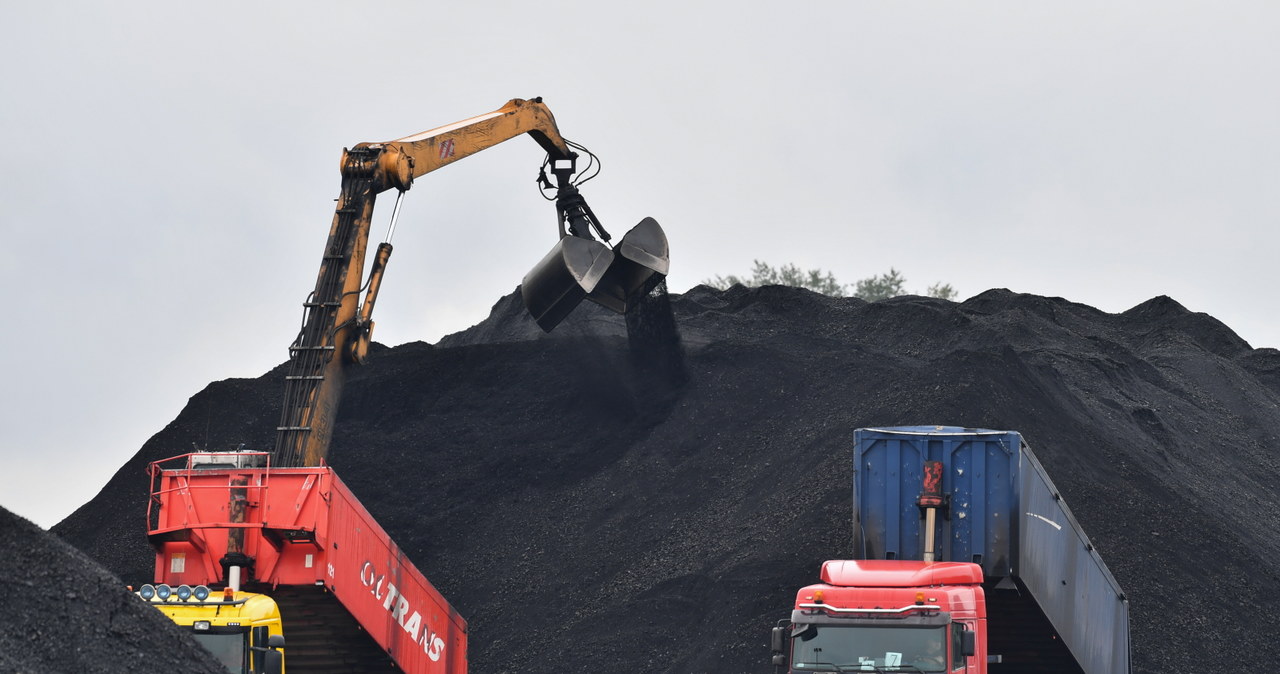 Sprzedaż węgla wymaga odpowiednio przygotowanego terenu, infrastruktury technicznej i doświadczonego personelu (zdj. ilustracyjne) /Jan Dzban /PAP