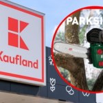 Sprzęt do ogrodu i warsztatu taniej. Parkside w Kauflandzie