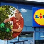 Sprzęt ogrodowy nawet 200 zł taniej! Lidl znów kusi marką Parkside