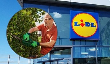 Sprzęt ogrodowy nawet 200 zł taniej! Lidl znów kusi marką Parkside