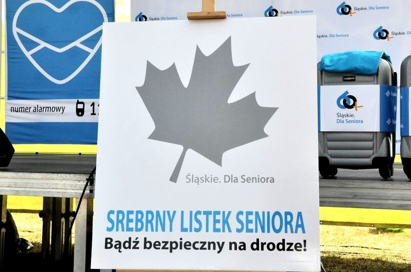 Srebrny listek - przyjmie się? /Policja