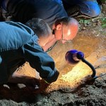 Średniowieczny skarb odkryty pod Lubaniem. Co kryło się w ziemi? 