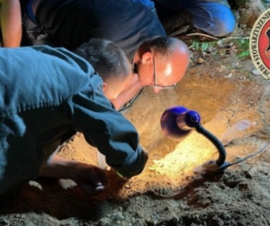 Średniowieczny skarb odkryty pod Lubaniem. Co kryło się w ziemi? 