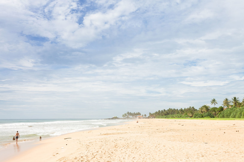 Sri Lanka słynie z pięknych plaż /123RF/PICSEL
