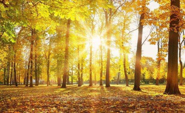 Środa pogodna i słoneczna. Nawet 19 stopni