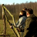 Śródpolne remizy dla ptaków. Pomogły dzieci