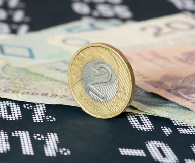 Stabilny złoty i obniżki stóp procentowych? Prognozy dla polskiej waluty na 2025 r. 