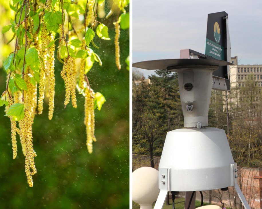 Stacja monitorująca stężenie pyłków roślin znajduje się na dachu budynku Collegium Śniadeckiego, przy krakowskim ogrodzie botanicznym /Shutterstock