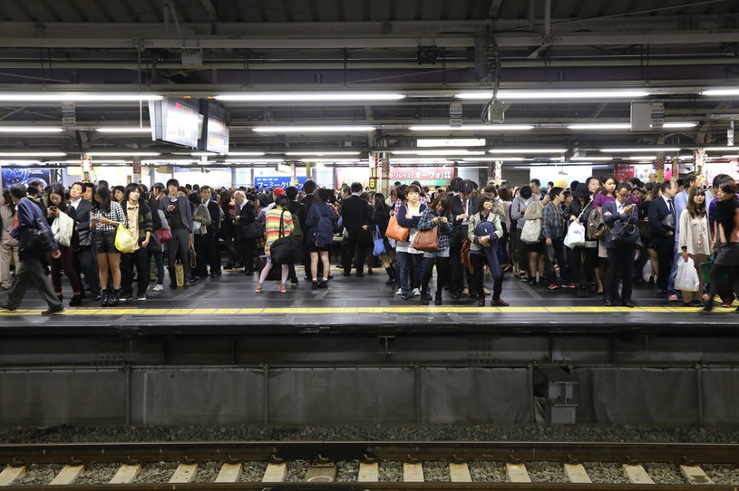 Stacja Shinjuku jest najbardziej zatłoczonym dworcem kolejowym na świecie /123RF/PICSEL