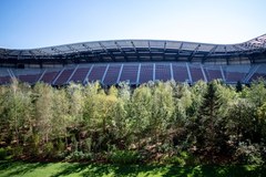 Stadion piłkarski zamieniony w las. Niezwykły happening w Austrii
