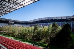 Stadion piłkarski zamieniony w las. Niezwykły happening w Austrii