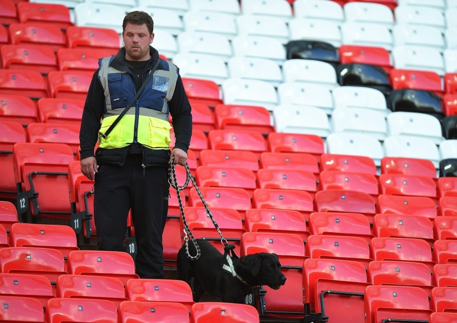 Stadion przeszukują służby z przeszkolonymi psami /PETER POWELL   /PAP/EPA