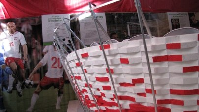 Stadiony na Euro 2012 w skali 1:100