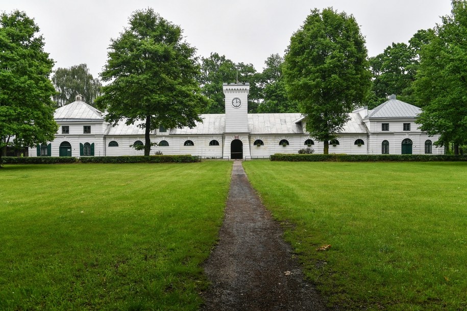 Stadnina Koni w Janowie Podlaskim /Wojtek Jargiło /PAP