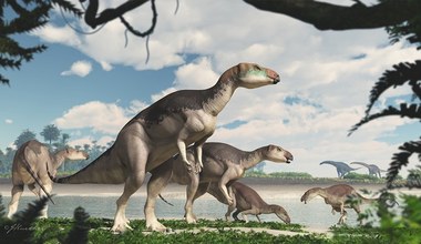 Stado dinozaurów zachowane w kamieniach szlachetnych w Australii